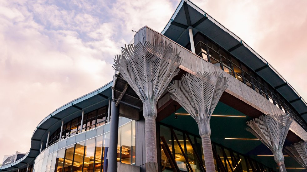 Te Matapihi, the new Wellington central library is positioned under a sky with fluffy clouds and a pink sunset. The building consists of wavy walls and edges, with big glass windows and metal sculptures shaped as native palm trees.