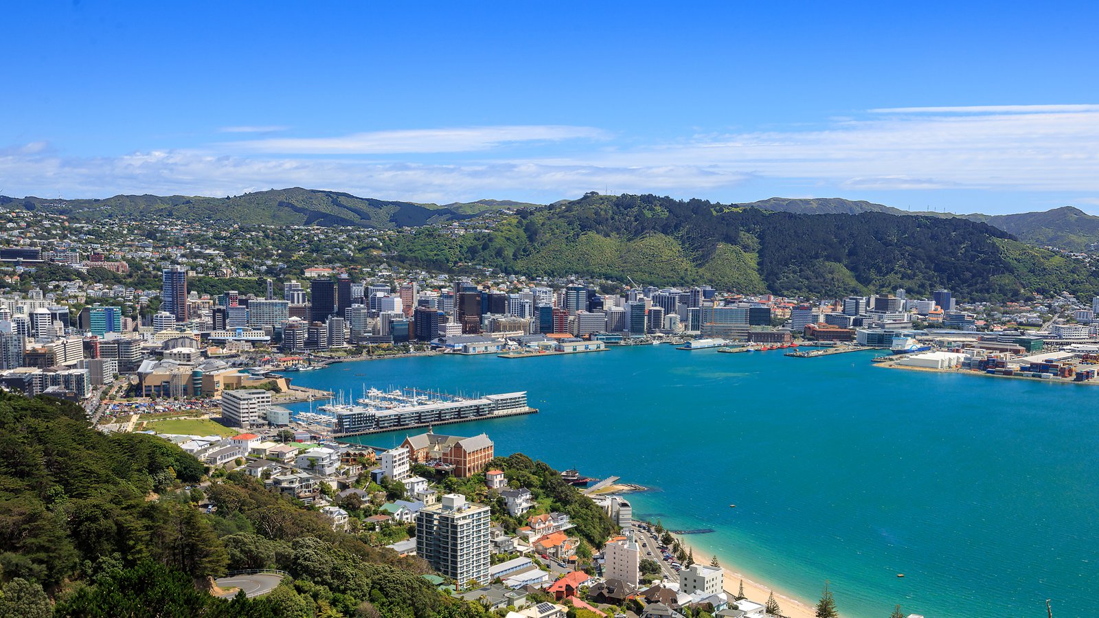 Book Big and Win at the New Zealand Festival of the Arts Banner.jpg