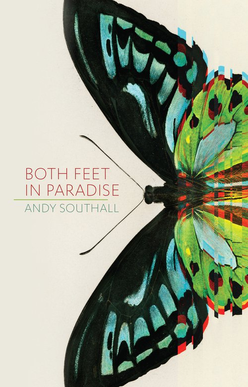Both-feet-in-paradise-web-cover.jpg