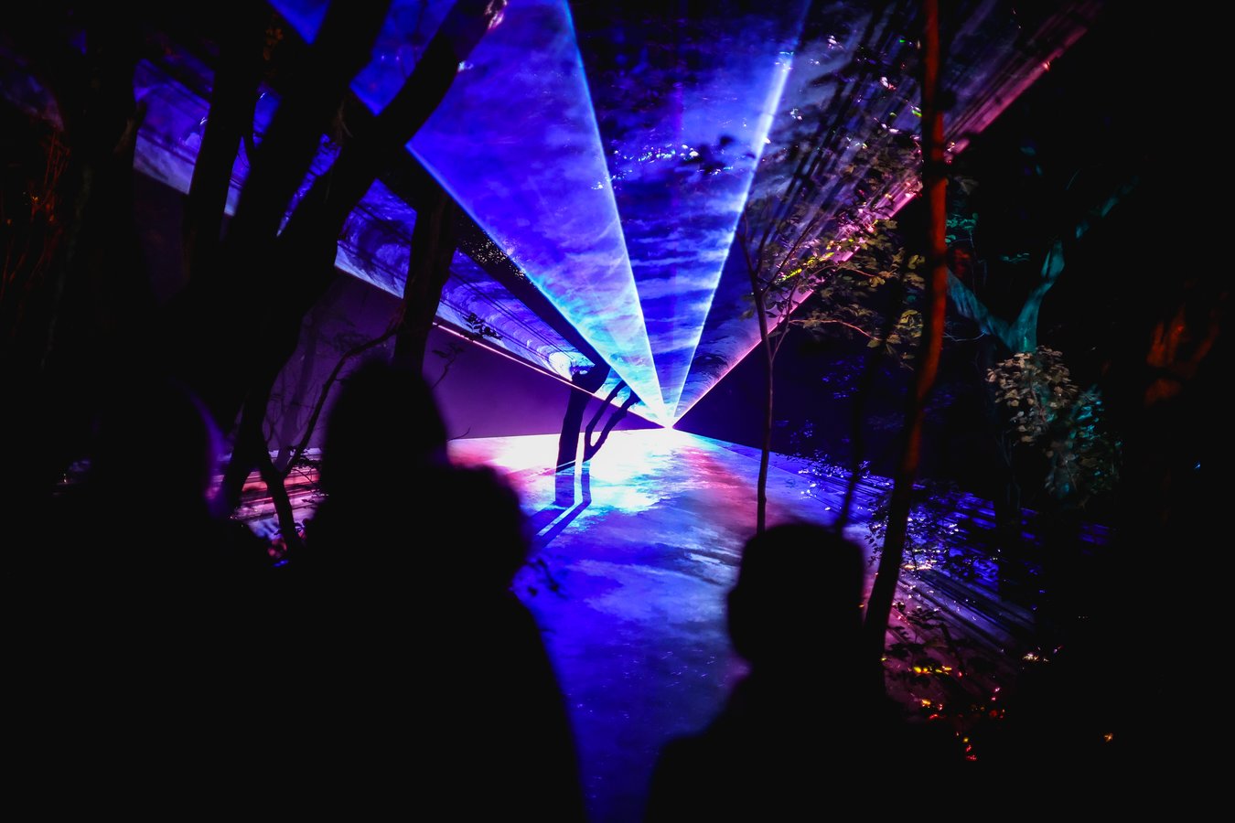Light Cycles photo by Shane Boulton