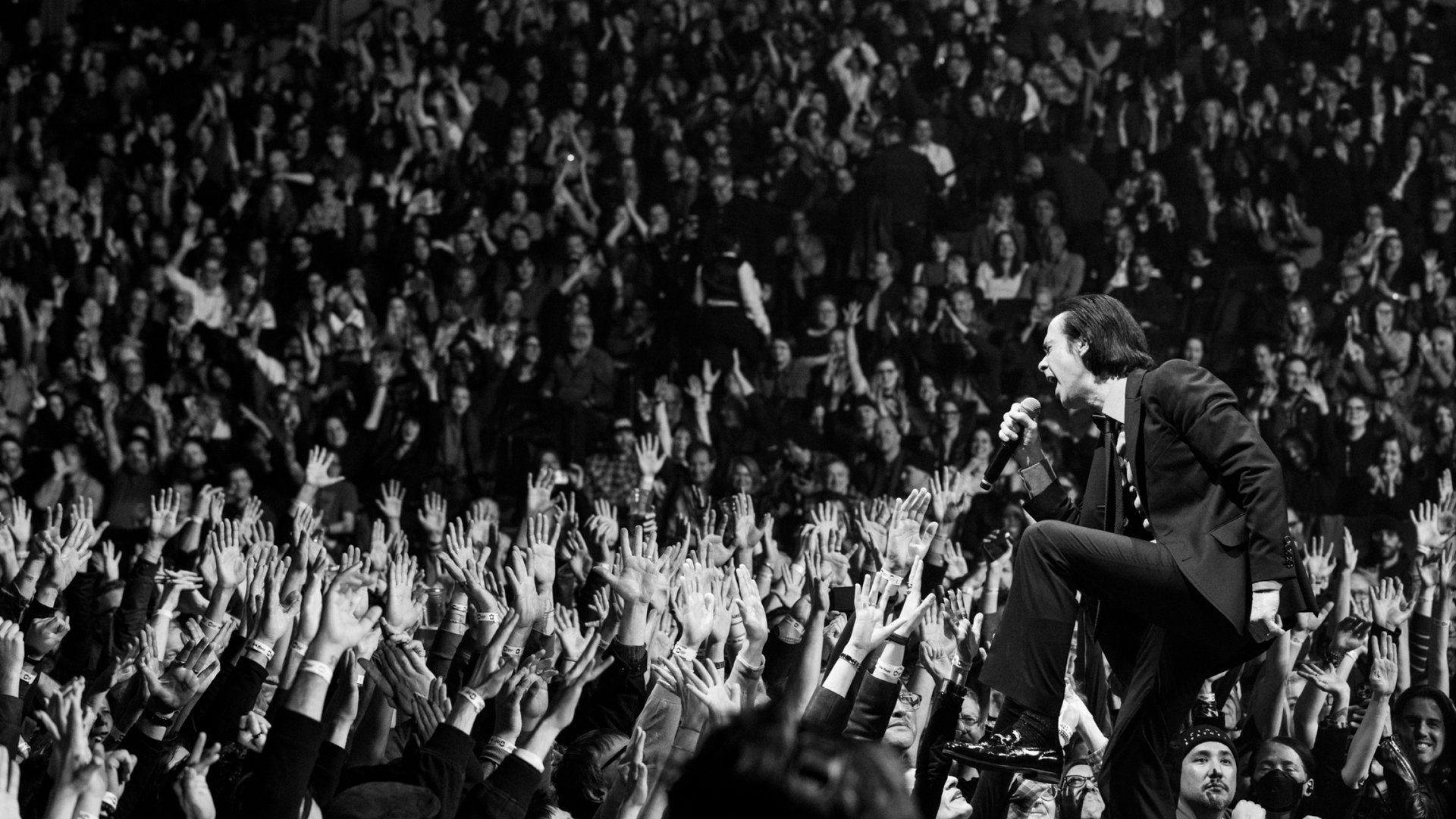 A black and white image shows Nick Cave performing to a giant crowd. The crowd is so big that there is no blank space in the image, and everyone in the foreground has their hands raised to the sky. Nick Cave has his left leg raised and resting on a piece of stage as he grips the microphone and sings passionately into it. He wears a sleek black suit and tie, and his black hair is slicked back. It appears that he is singing into the audience, encouraging participation in the music. There is an overall sense of joy and excitement, both from the audience and Nick Cave.